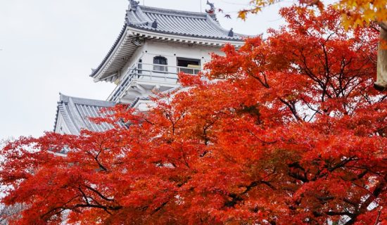 【秋満喫】おすすめの紅葉スポット